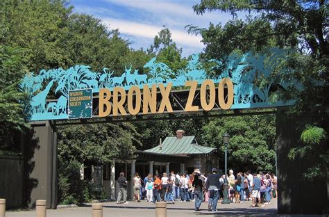  Bronx Zoo: A Virtual Oasis for Animal Lovers and Management Gurus!