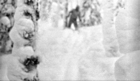 Kholat! Unraveling the Mystery Behind the Dyatlov Pass Incident