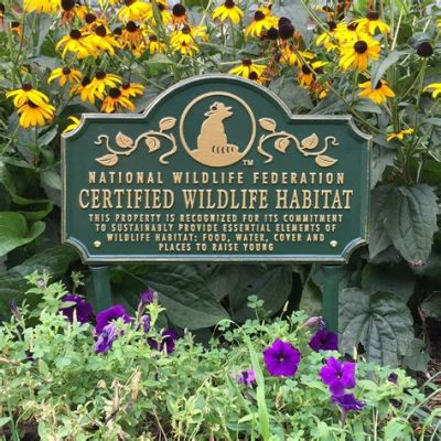 Have a Hoot Running Your Own Wildlife Sanctuary with Habitat?